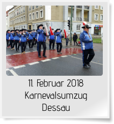 11. Februar 2018 Karnevalsumzug Dessau