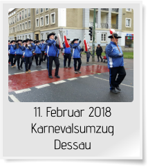 11. Februar 2018 Karnevalsumzug Dessau